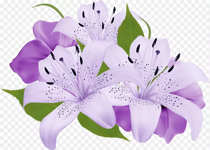 花束紫色剪贴画