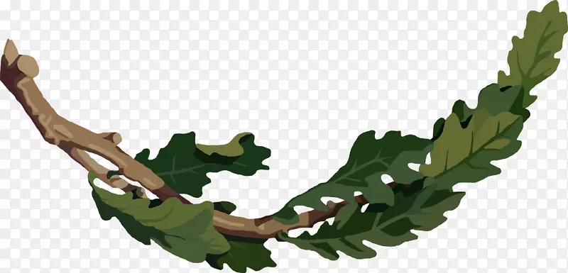 栓皮栎沼泽，西班牙橡木，白橡树枝，叶枝