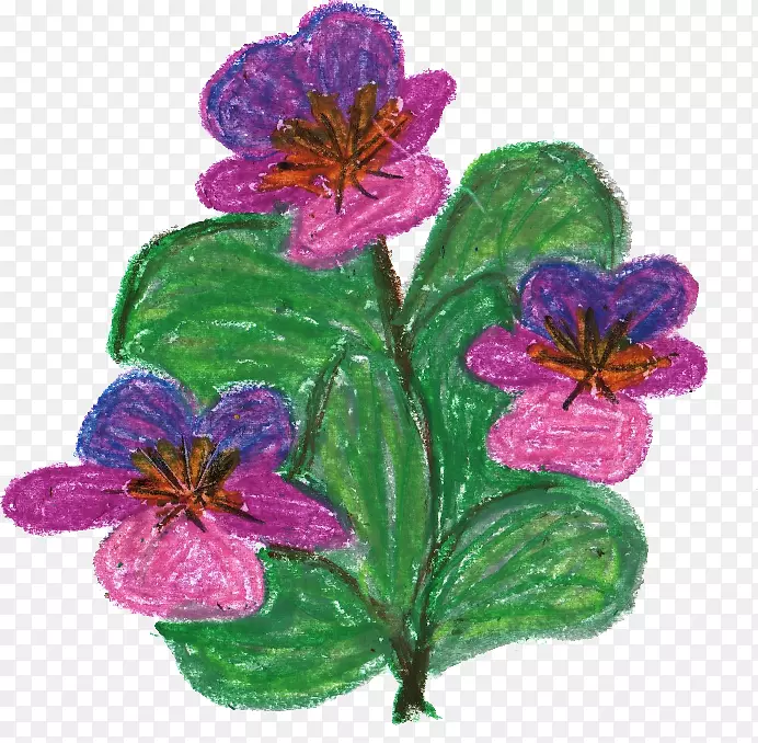 紫丁香紫色天竺葵-比尔-蜡笔