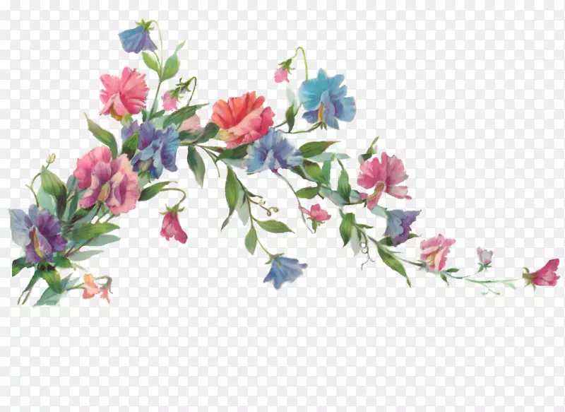 花卉设计剪贴画-水彩画白花