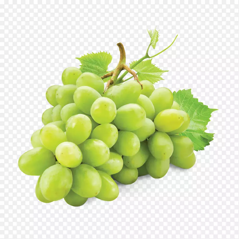果汁葡萄叶水果营养物质标签葡萄