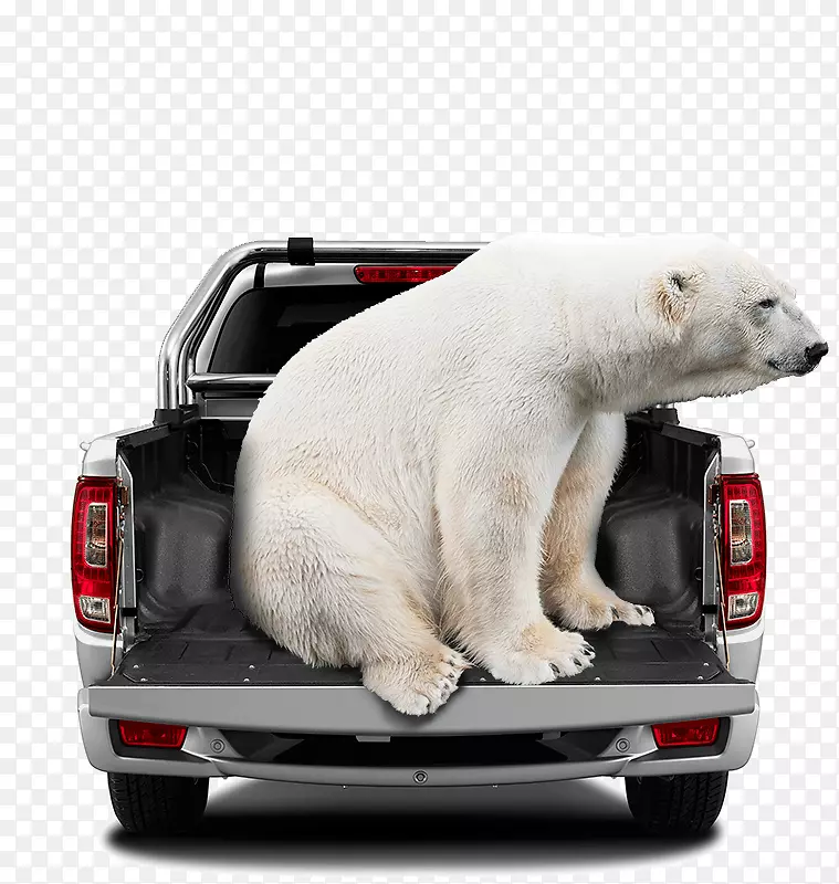 长城永乐长城马达皮卡车北极熊