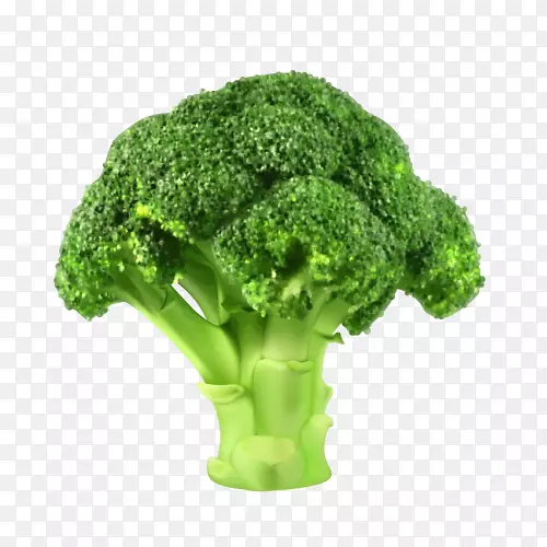 西兰花蔬菜夹艺术.西兰花