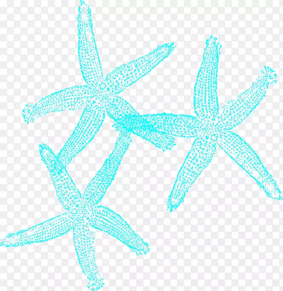 海星绿松石珊瑚剪贴画-珊瑚