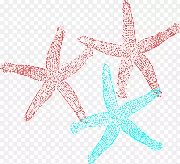 珊瑚海星剪贴画-珊瑚