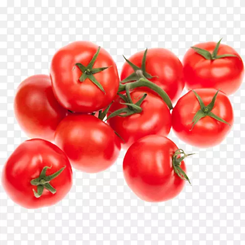樱桃番茄蔬菜砧木摄影剪贴画-番茄