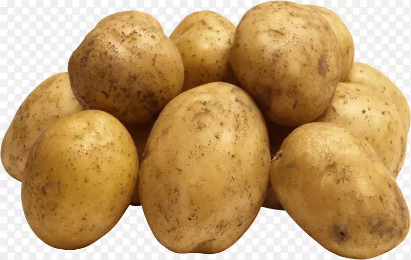 鲁塞特伯班克炸薯条蔬菜剪贴画-土豆