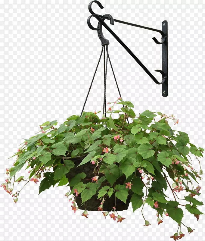 植物挂篮花盆吊架