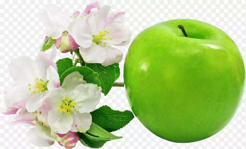 苹果花水果剪贴画-绿花