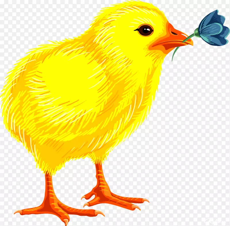 复活节彩蛋剪贴画-小鸡