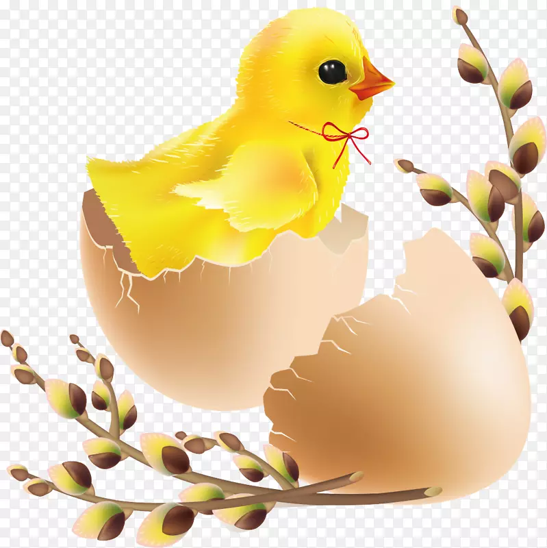 孵化复活节剪贴画-小鸡