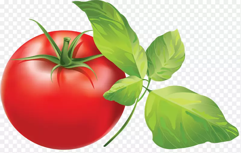 樱桃番茄意大利番茄派夹艺术-草药