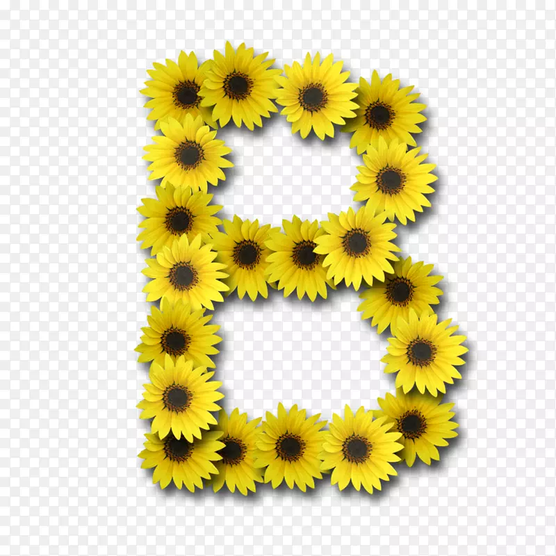 字母字母纸g-向日葵