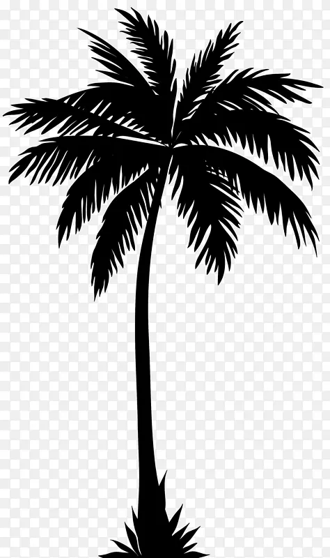 槟榔科剪影树剪贴画椰子树