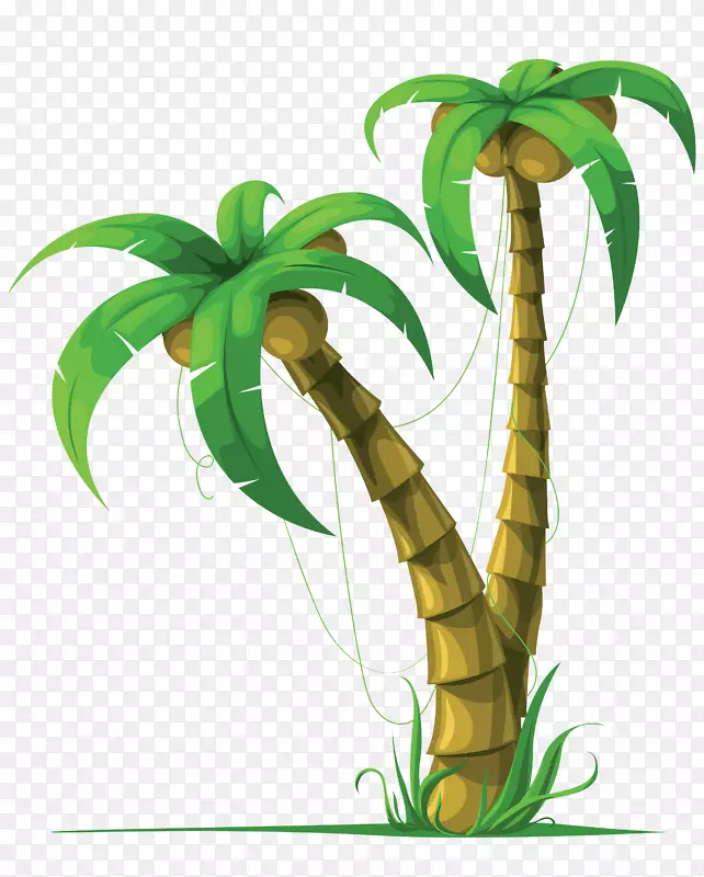椰子树-槟榔科植物剪贴画-椰子树