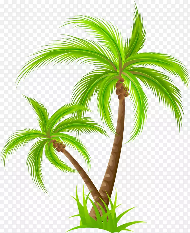 生日版税-免费剪贴画-椰子树