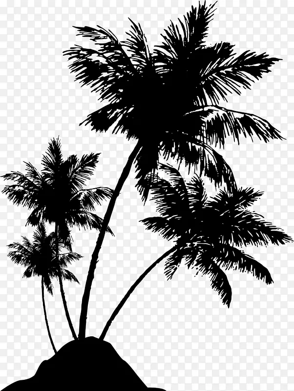 槟榔科肖像画.椰子树