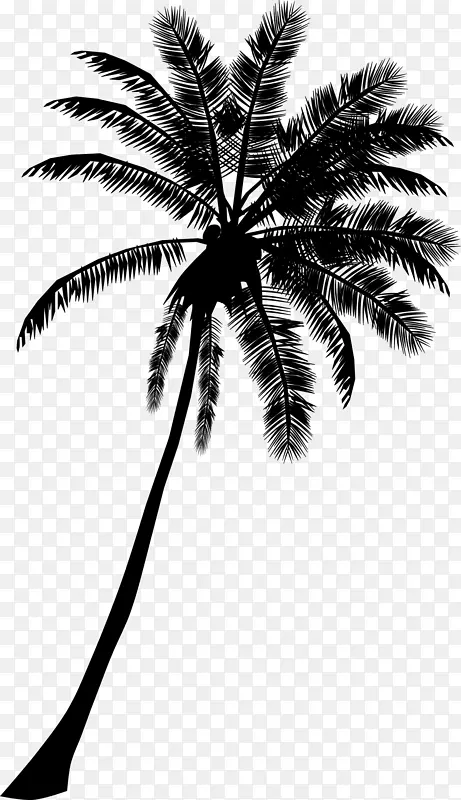 槟榔科树cdr剪影剪贴画椰子树