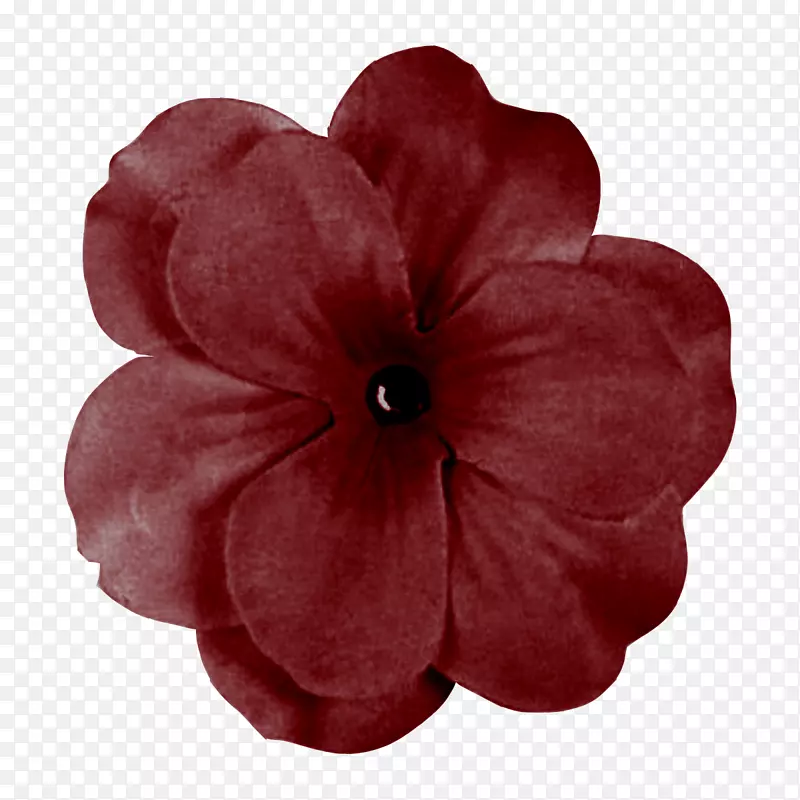 花卉数码剪贴夹艺术-红花