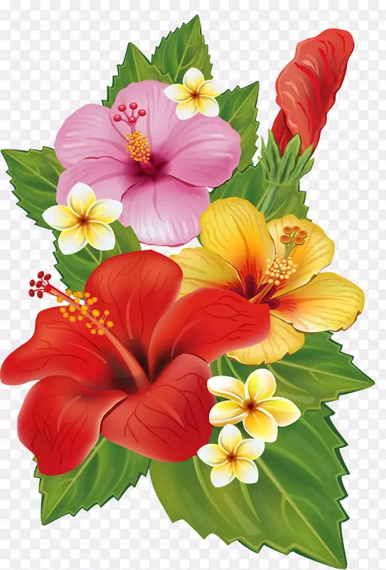 花束装饰艺术剪贴画-热带花卉