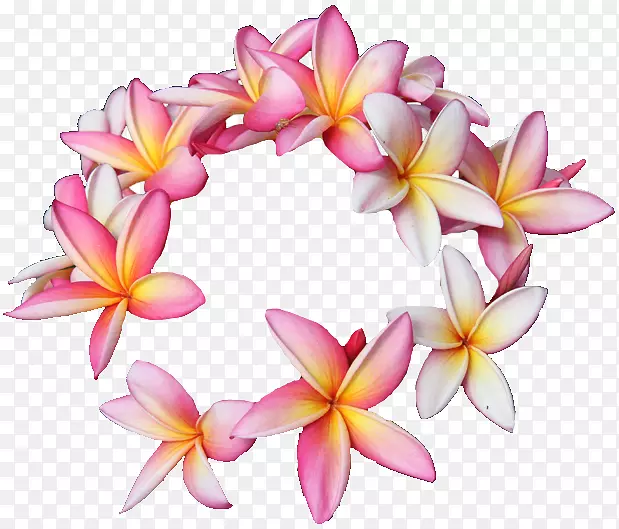 夏威夷红花切花设计-热带花卉