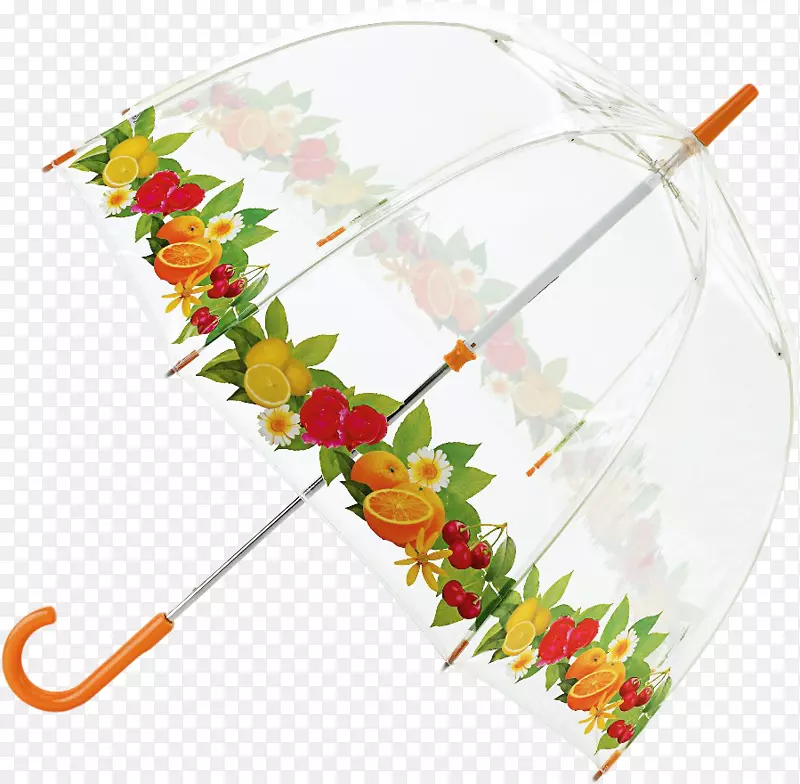 雨伞圆顶雨笼