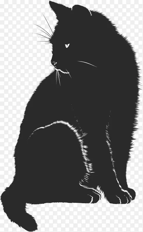 猫宠物坐猫夹艺术-黑白相间