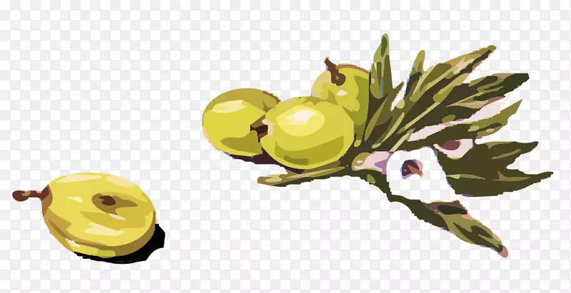 鸡尾酒马提尼橄榄夹艺术-橄榄枝