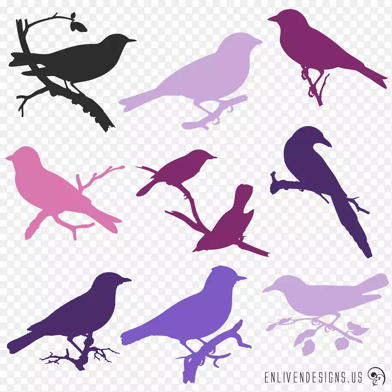 鸟类紫色侧影紫色薰衣草-鸟类轮廓