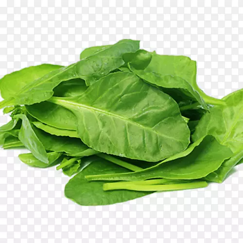 有机食品菠菜沙拉营养叶菜菠菜