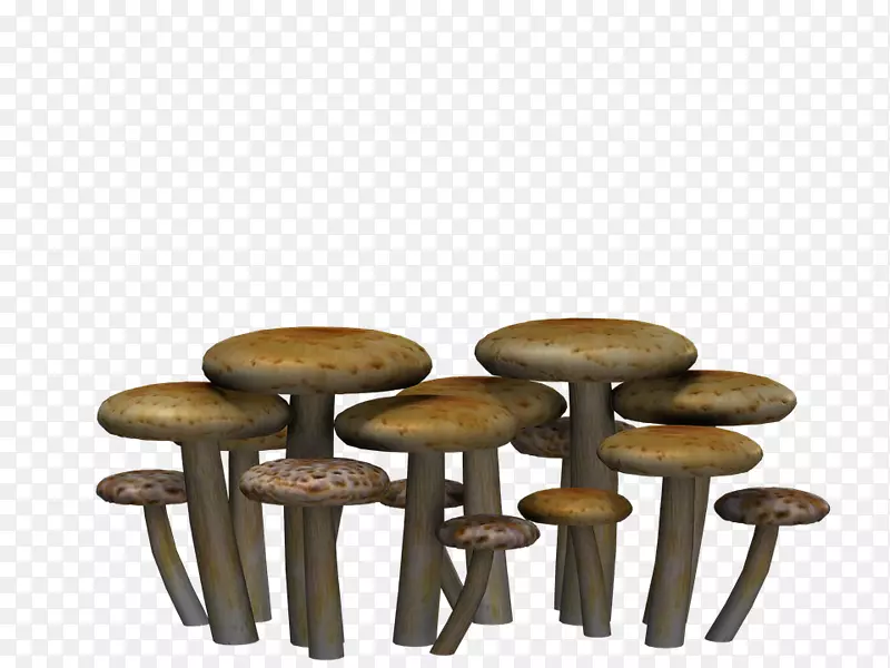 蘑菇粉