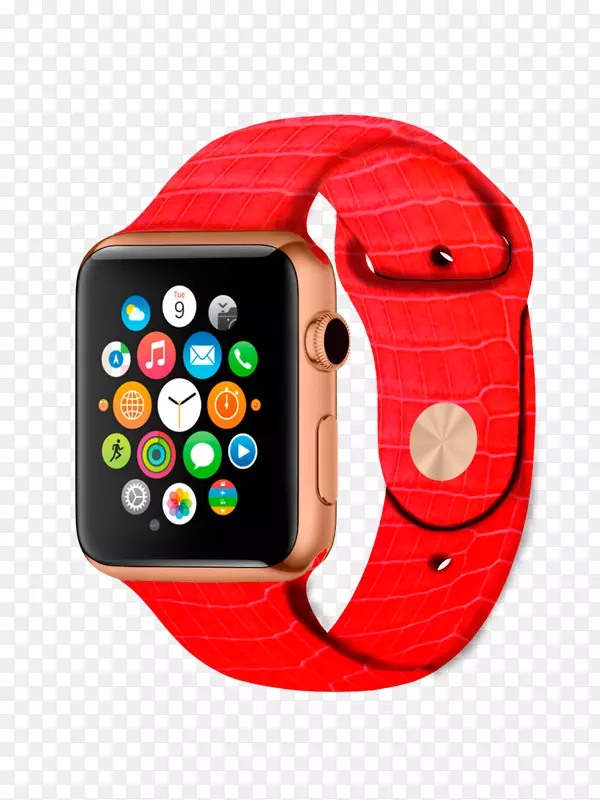 苹果手表系列3苹果手表系列2表带-购物车