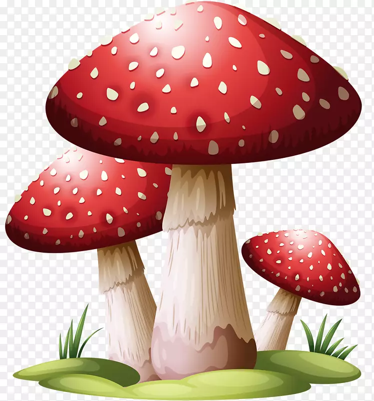 普通蘑菇泡芙球-蘑菇