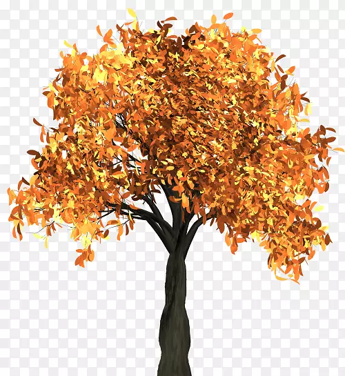 秋叶彩色剪贴画-橘子树