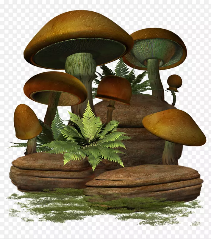 食用菌普通蘑菇剪贴画-蘑菇