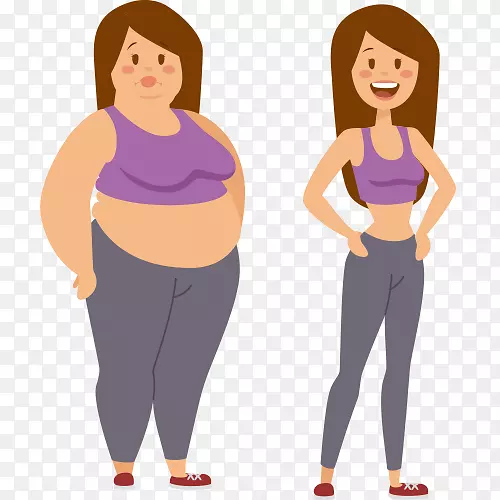 卡通脂肪组织女性脂肪