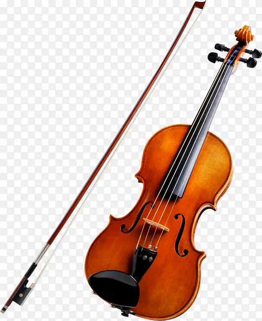 弦乐器小提琴乐器大提琴小提琴