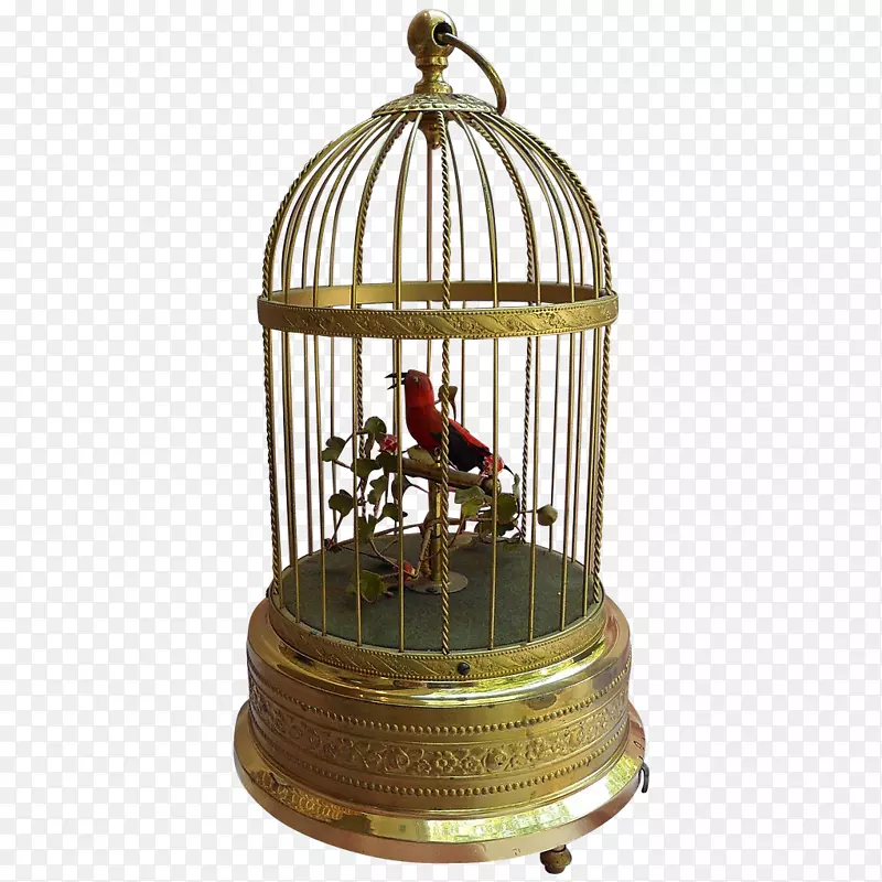 鸟家金丝雀笼鹦鹉19世纪-鸟笼