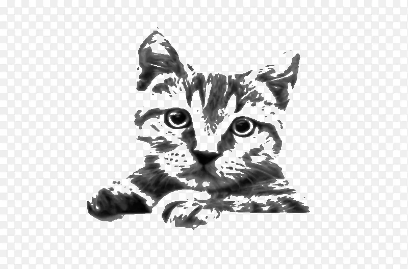 暹罗猫毛刺猫画夹艺术素描