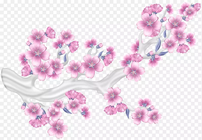 粉红插花艺术-樱花