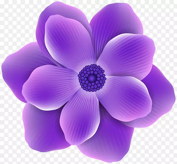 紫玫瑰剪贴画-紫花