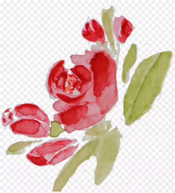 花卉水彩画摄影绘画玫瑰水彩画