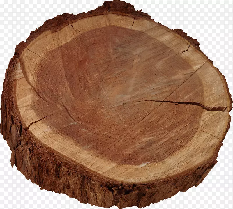 木材采购森林管理合同-树桩