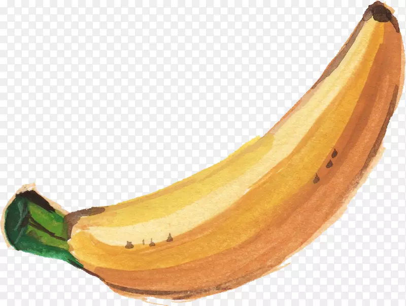 香蕉叶水彩画-香蕉