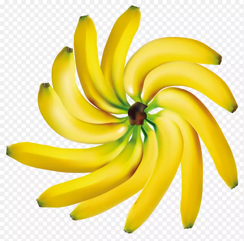 香蕉水果剪贴画-香蕉