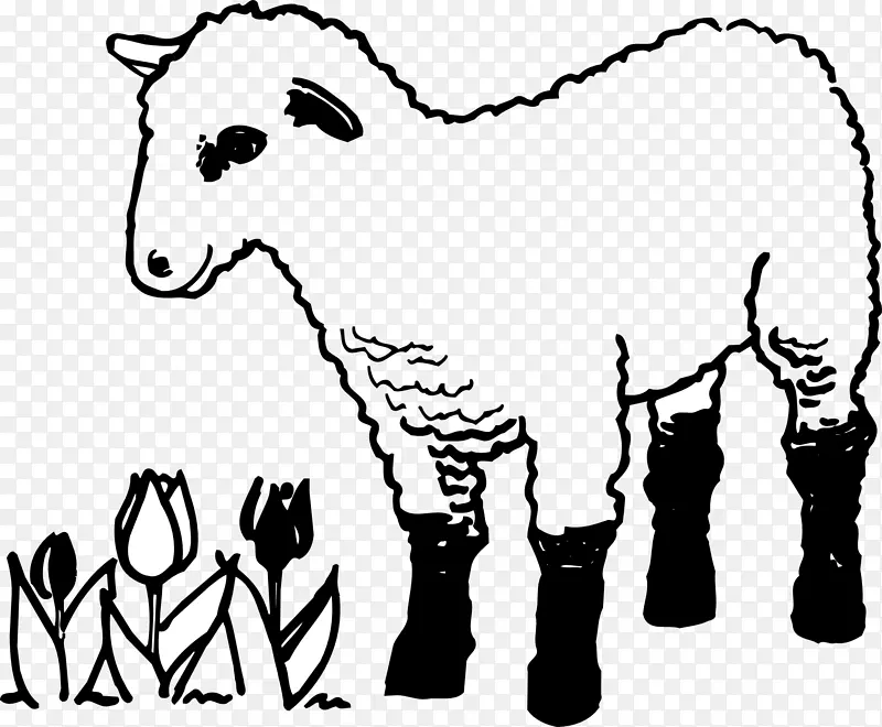 迷途羊着色书羔羊和羊肉牧羊人的寓言
