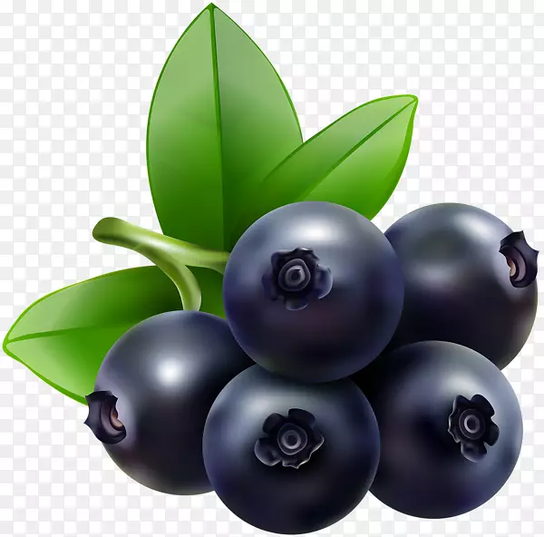 蓝莓越橘食品剪辑艺术-蓝莓