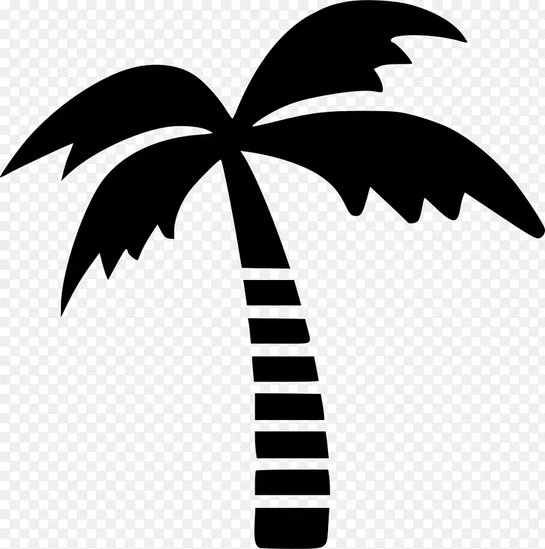 树槟榔科计算机图标.椰子