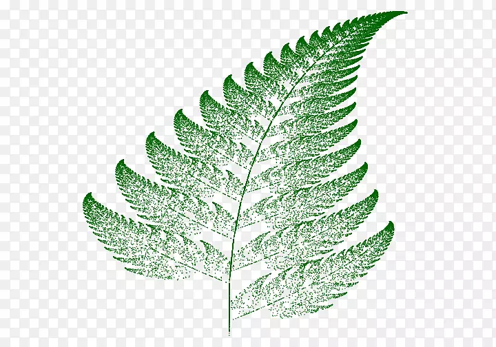 巴恩斯利蕨类植物分形迭代函数系统自相似图