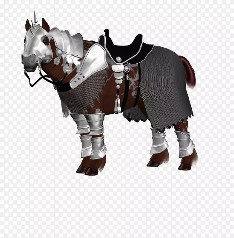 马骑装动物马术战士